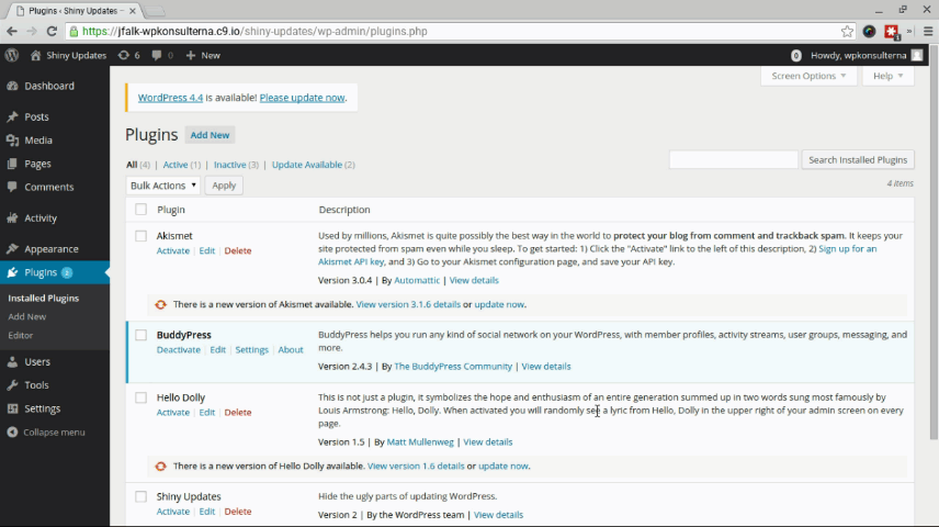WordPress admin updates screen showing pending plugin and core updates