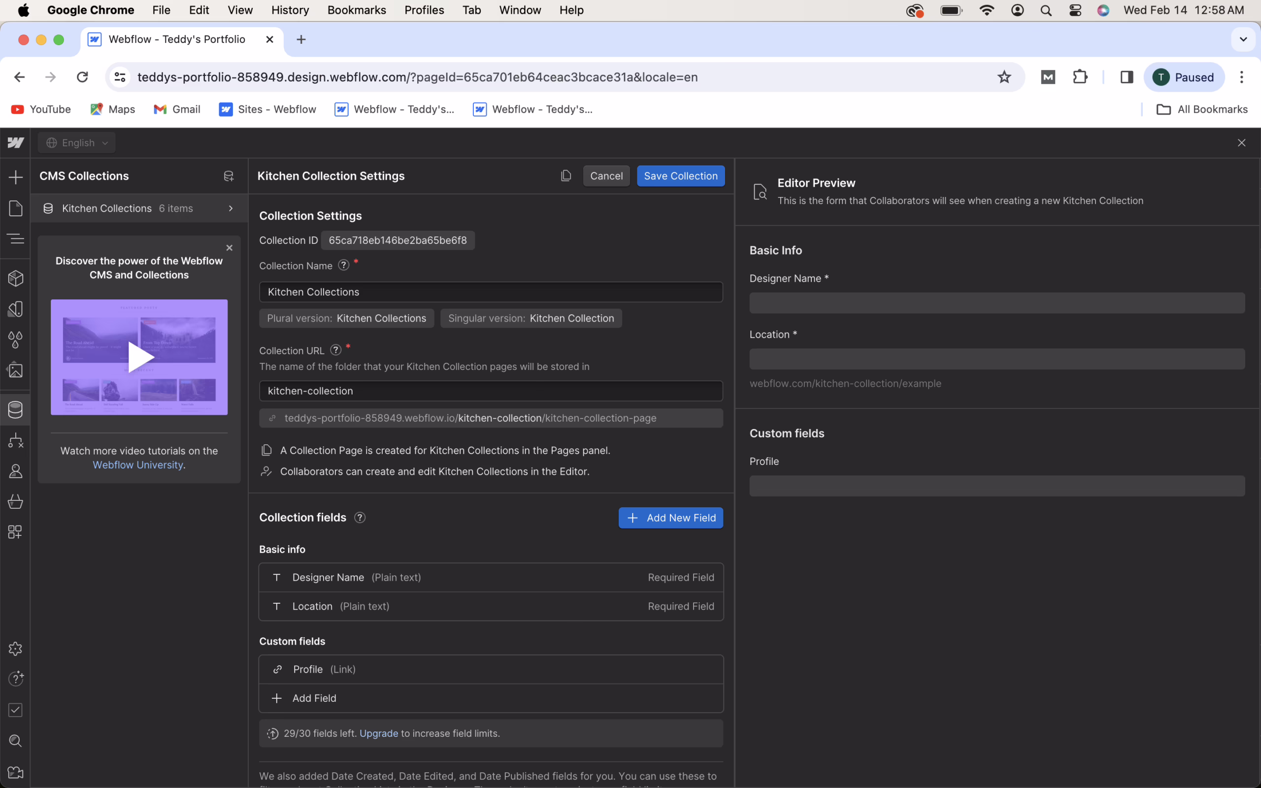 Webflow CMS Collections interface showing structured content fields