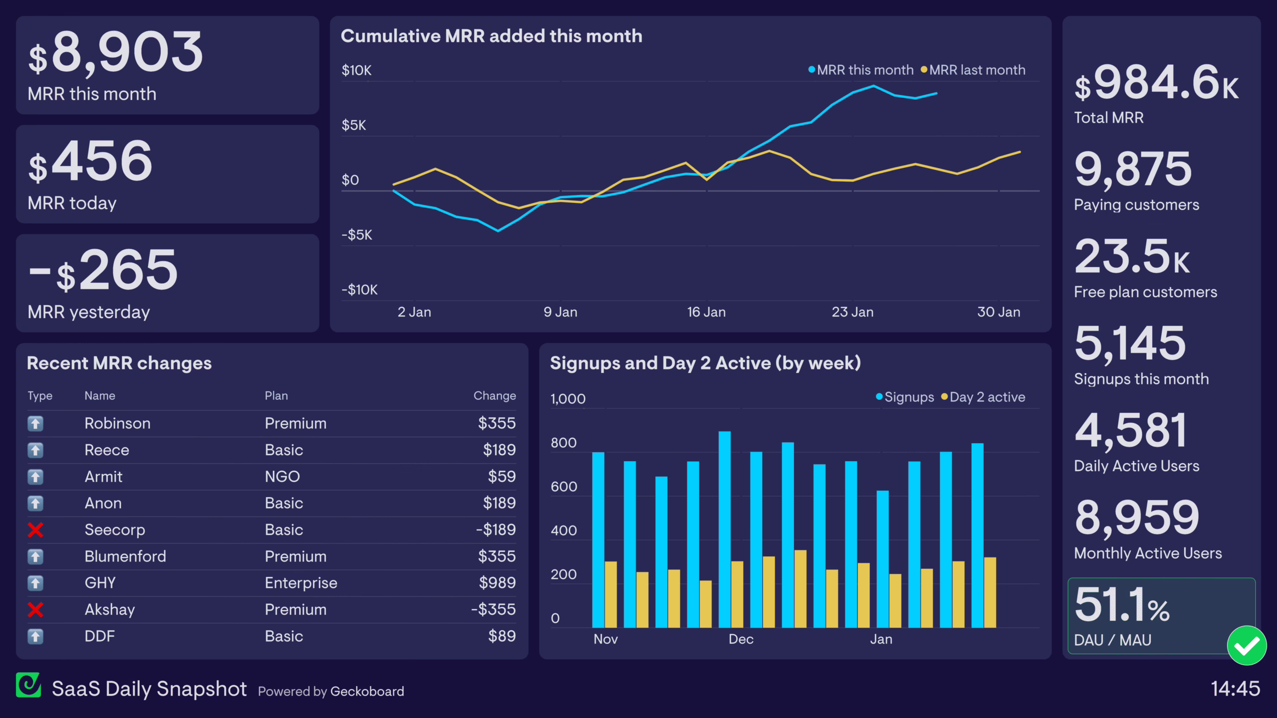 Subscription website member dashboard showing progress and usage
